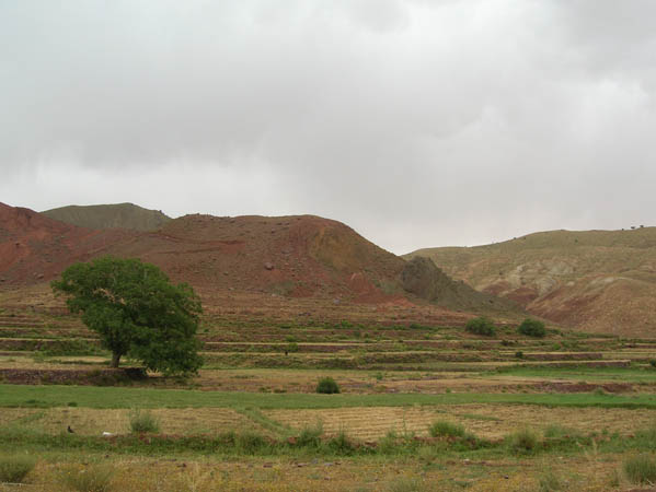 Marrakesh to Ait Benhadou 049
